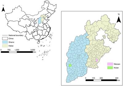 Crop insurance, factor allocation, and farmers’ income: evidence from Chinese pear farmers